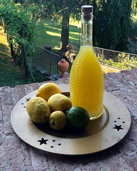 Limoncello biologico - 500 ml